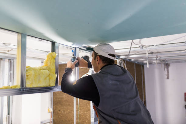 Best Insulation Replacement Services  in Abita Springs, LA