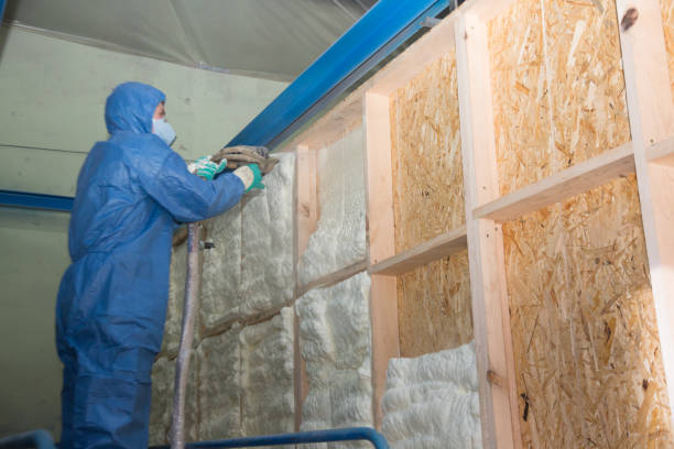 Best Best Insulation Companies  in Abita Springs, LA
