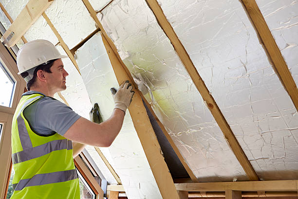 Best Cellulose Insulation  in Abita Springs, LA